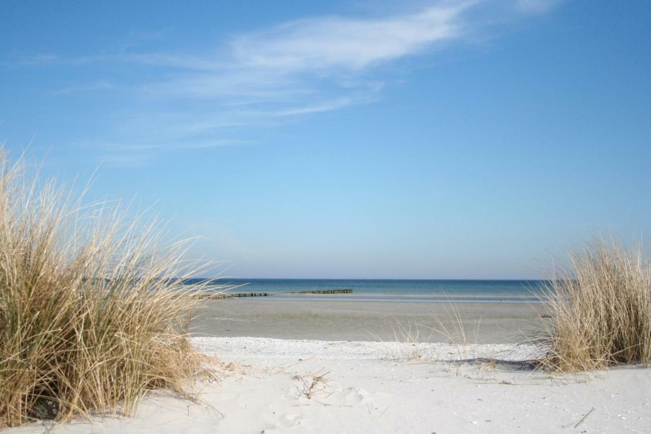 Ankerplatz Zingst Lägenhet Exteriör bild